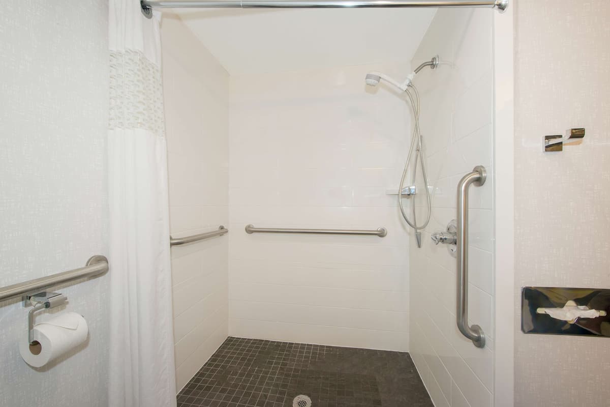 A shower with a grab bar, a towel dispenser, and a toilet paper holder.