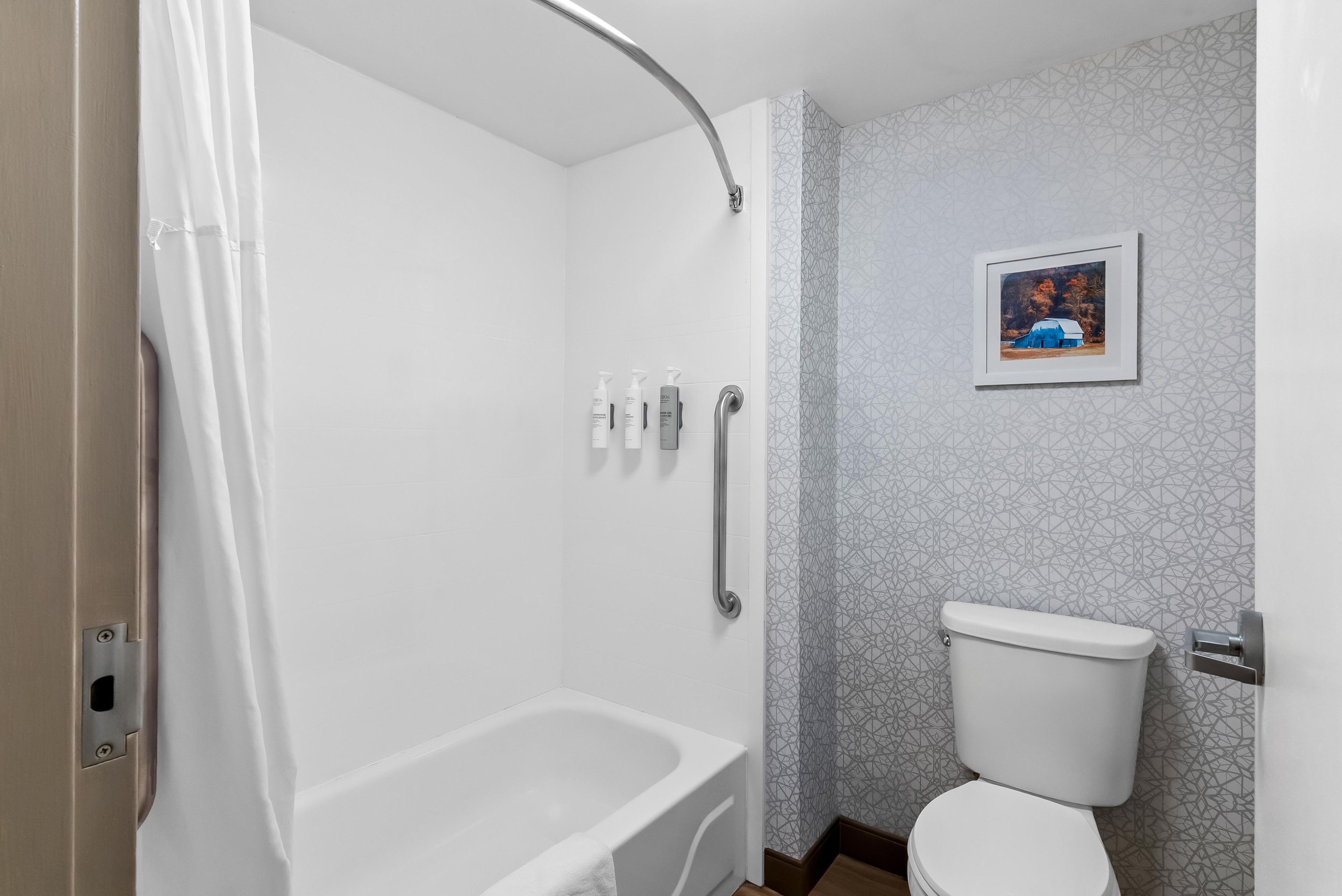 A bathroom with a shower, toilet, and handrails.