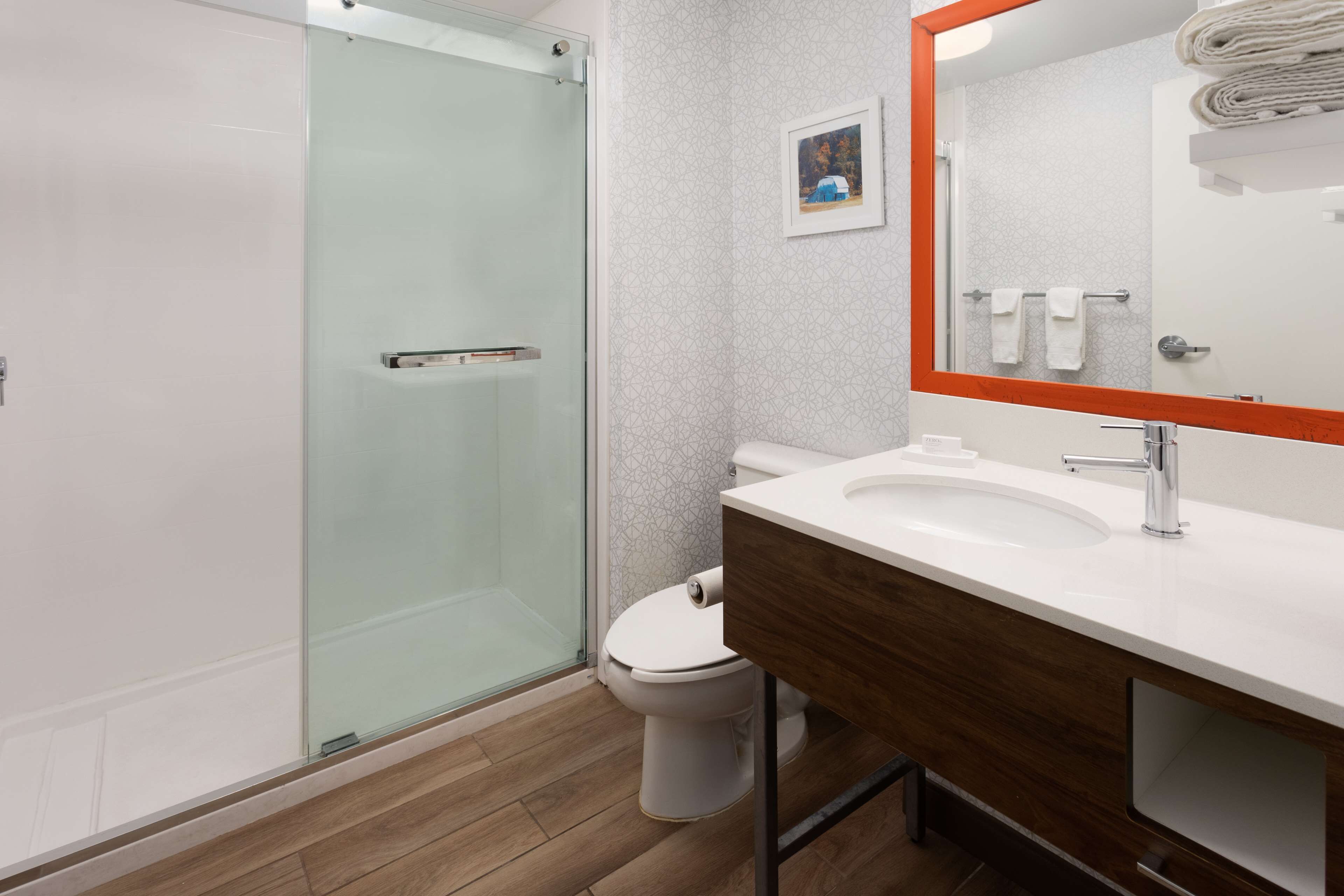 room, 1 king bed, non smoking (shower only) | bathroom shower