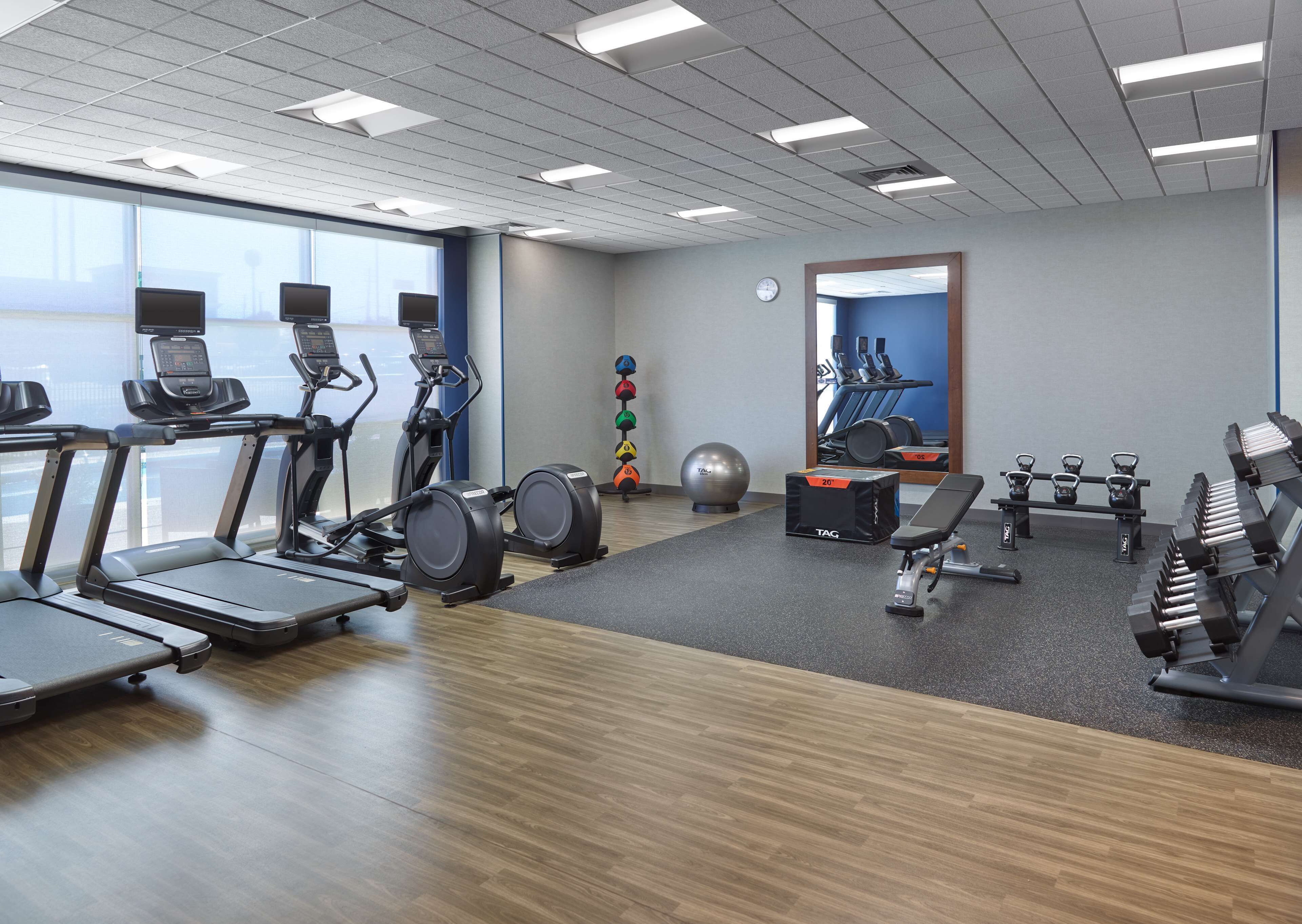 A gym with treadmills, weights, and exercise balls.
