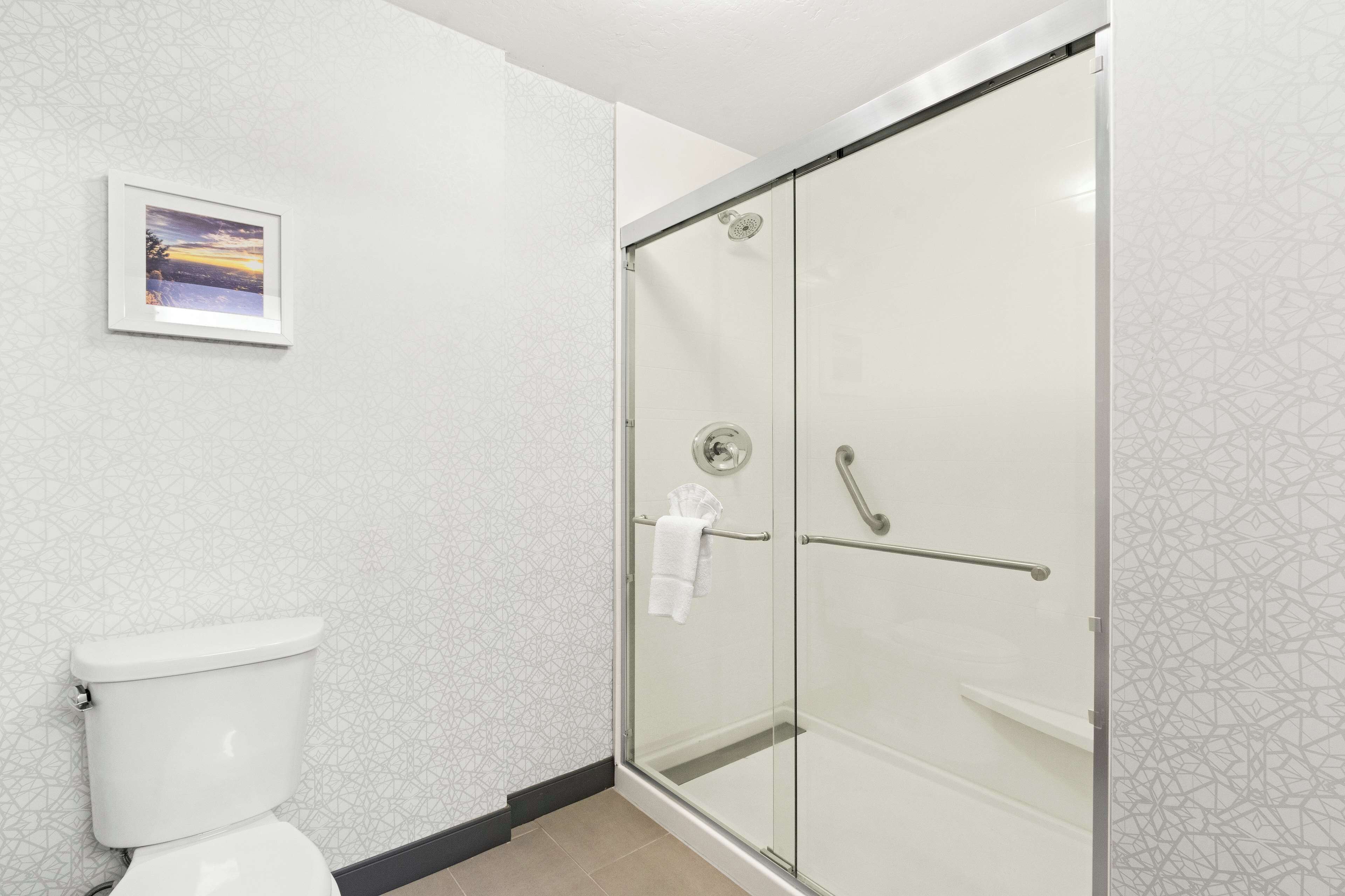 Une salle de bain moderne avec une douche à parois de verre, des toilettes et un tableau encadré au mur.