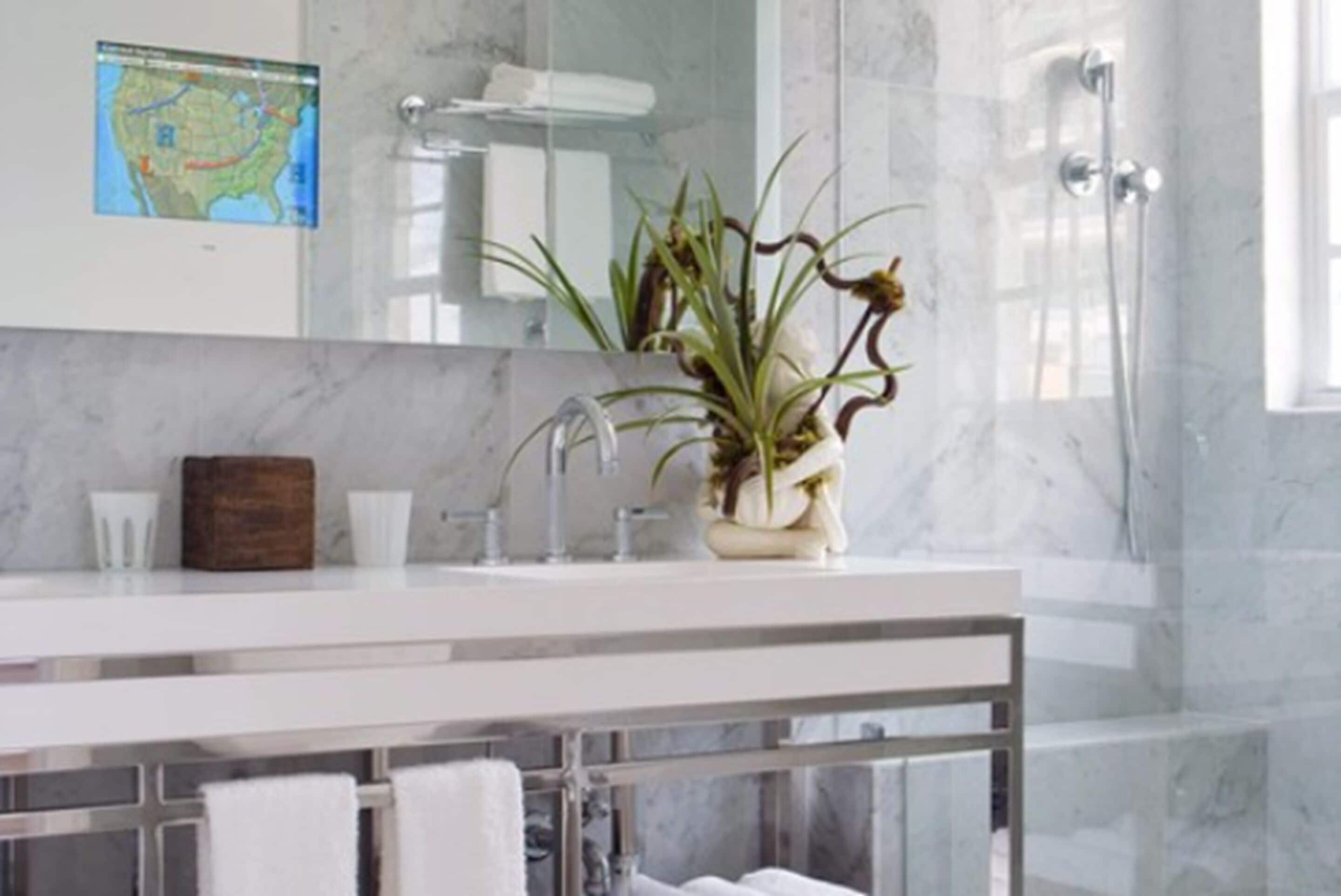 Une salle de bain moderne avec un lavabo en marbre, une carte accrochée au mur, une plante et une douche.