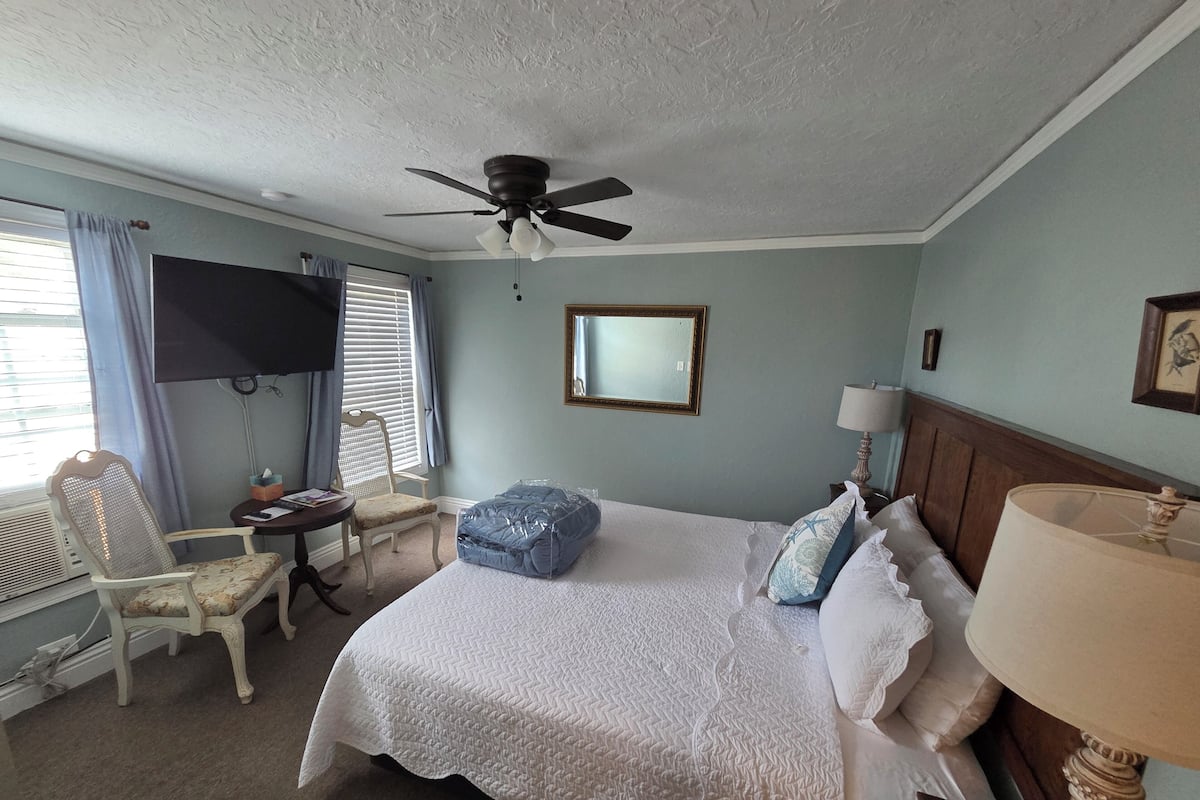 A hotel room with a bed, a ceiling fan, a TV, a chair, a bedside table, and a lamp.