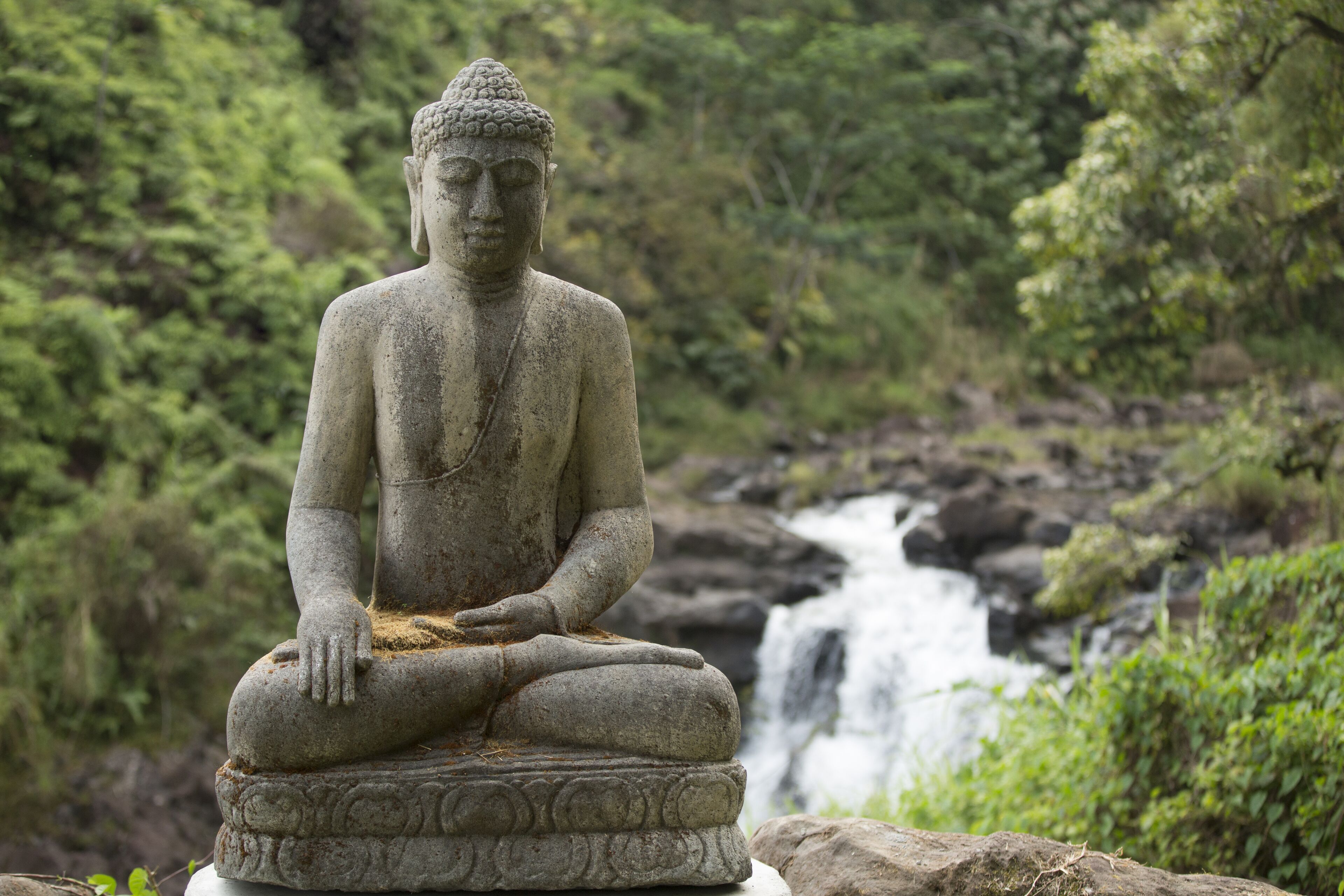 A stone Buddha statue in a meditative pose, surrounded by lush greenery and a waterfall in the background.
