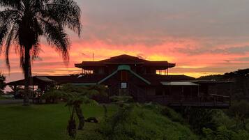 A building with a green roof and a staircase leading to a covered area.