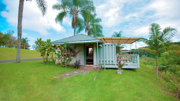 Une petite maison avec un toit végétalisé, entourée d’une végétation luxuriante et de palmiers.
