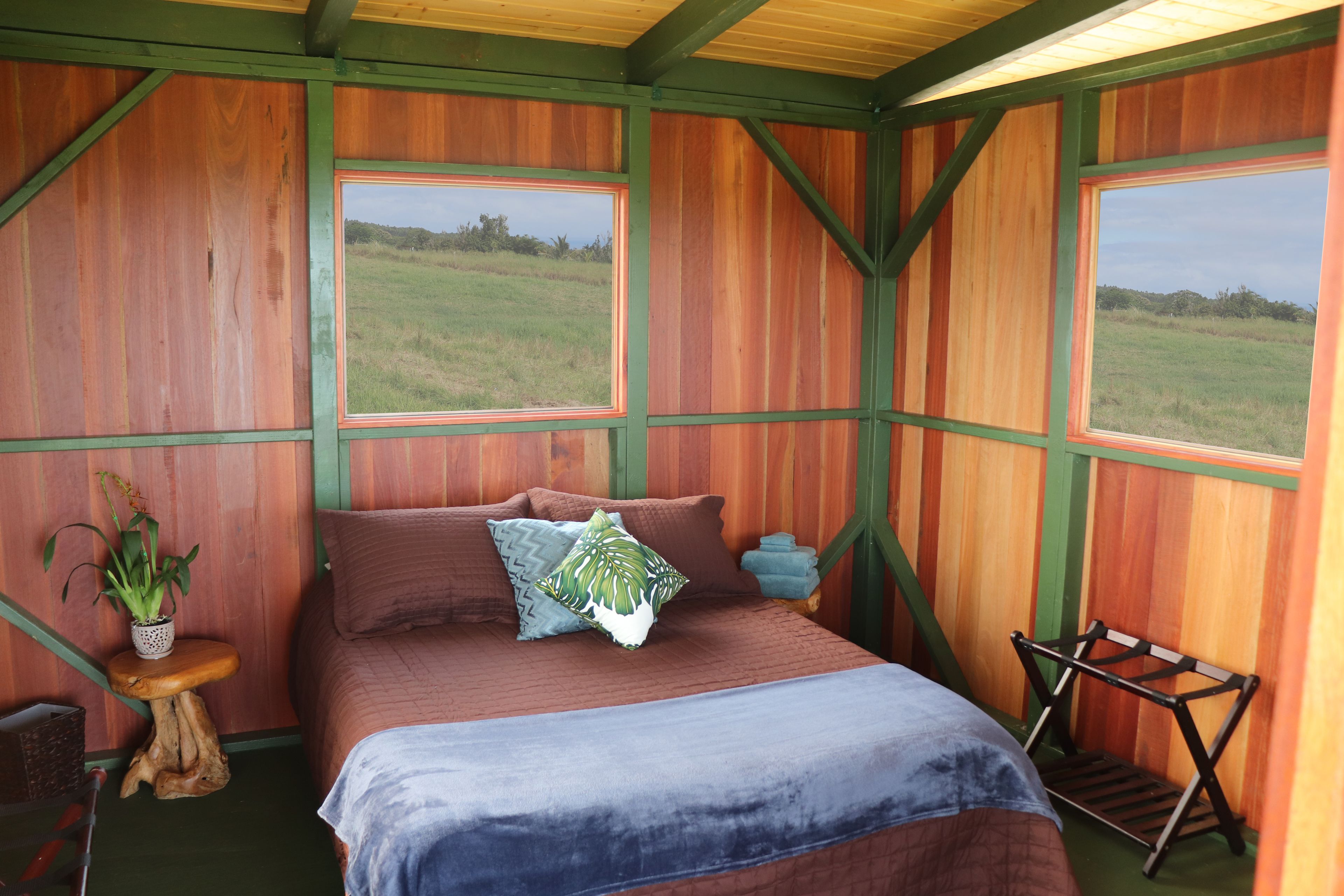 A bedroom with a bed, pillows, a small table with a plant, and a chair. There are two windows with a view of a grassy field.