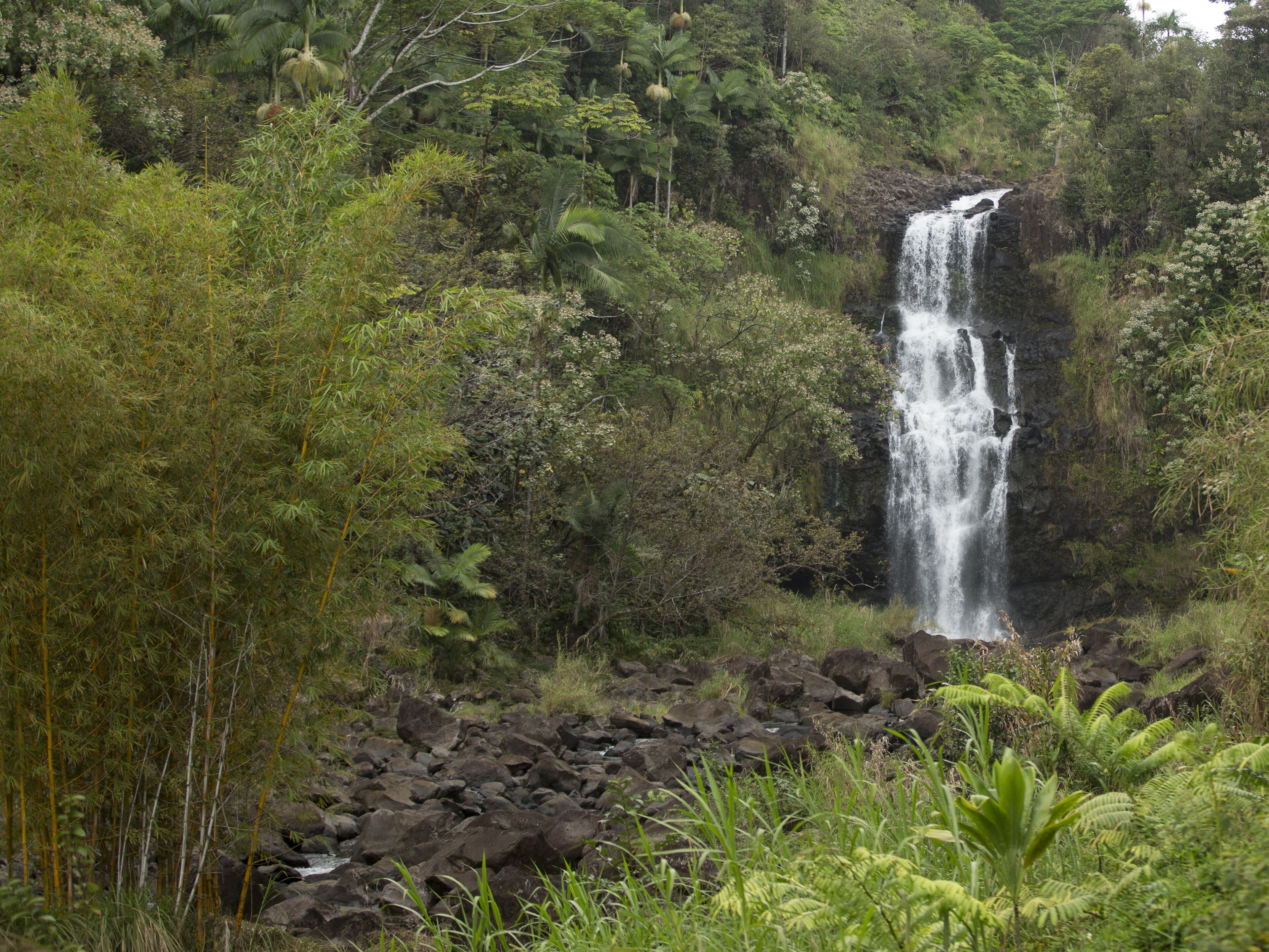 Photo - The Inn at Kulaniapia Falls