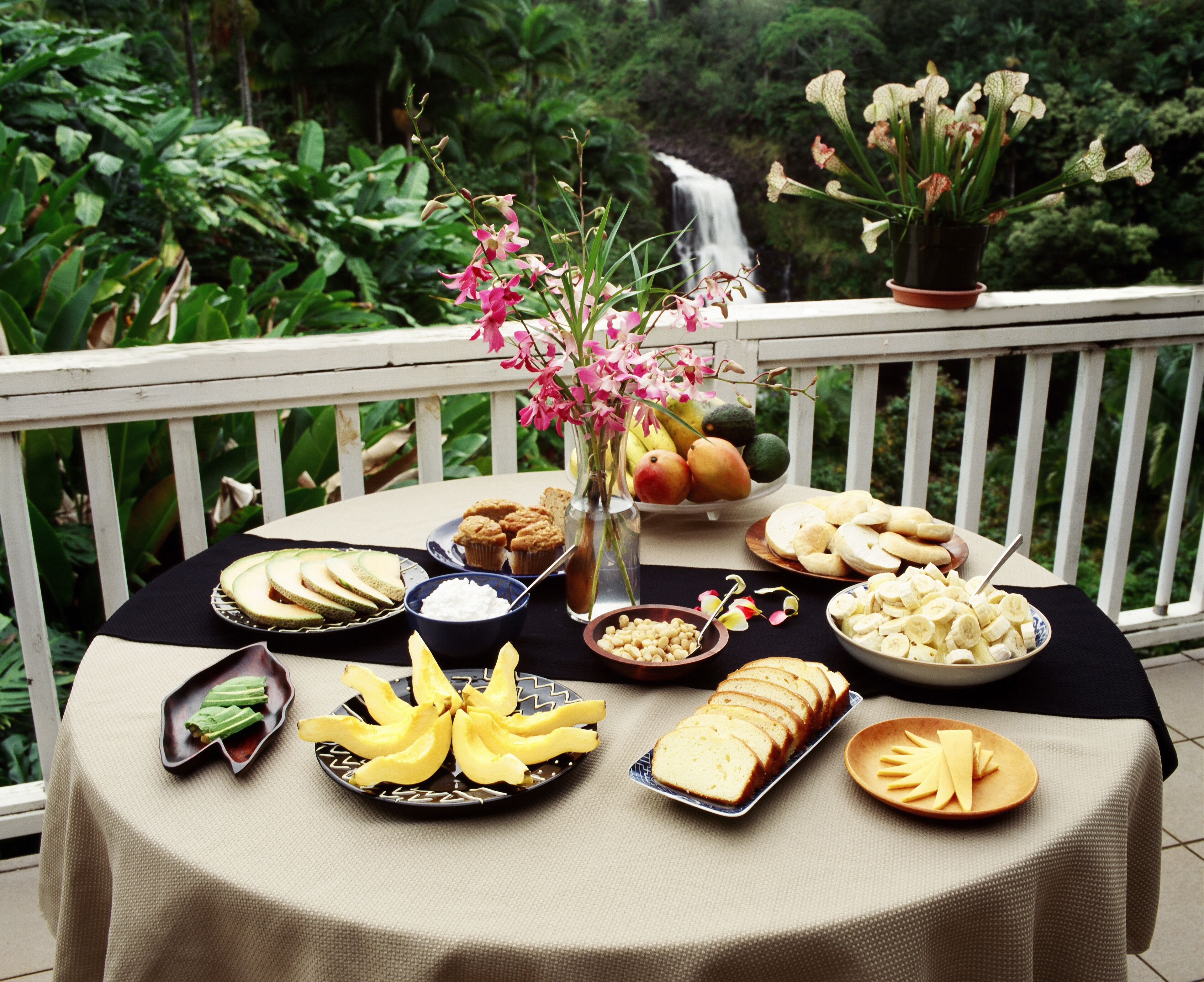 Daily continental breakfast for a fee