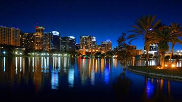 A nighttime cityscape with illuminated buildings reflecting on a calm body of water, palm trees, and a well-lit waterfront promenade.