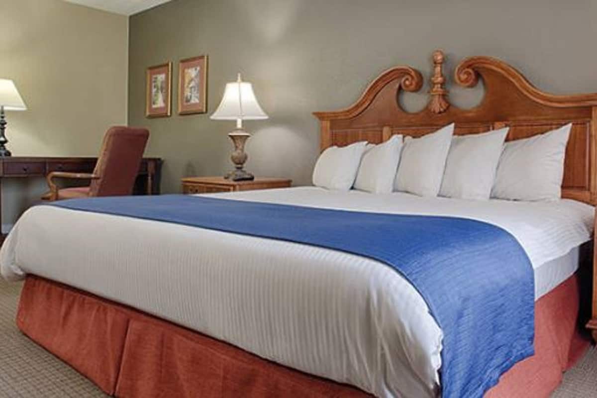 In-room safe, laptop workspace, blackout drapes, iron/ironing board