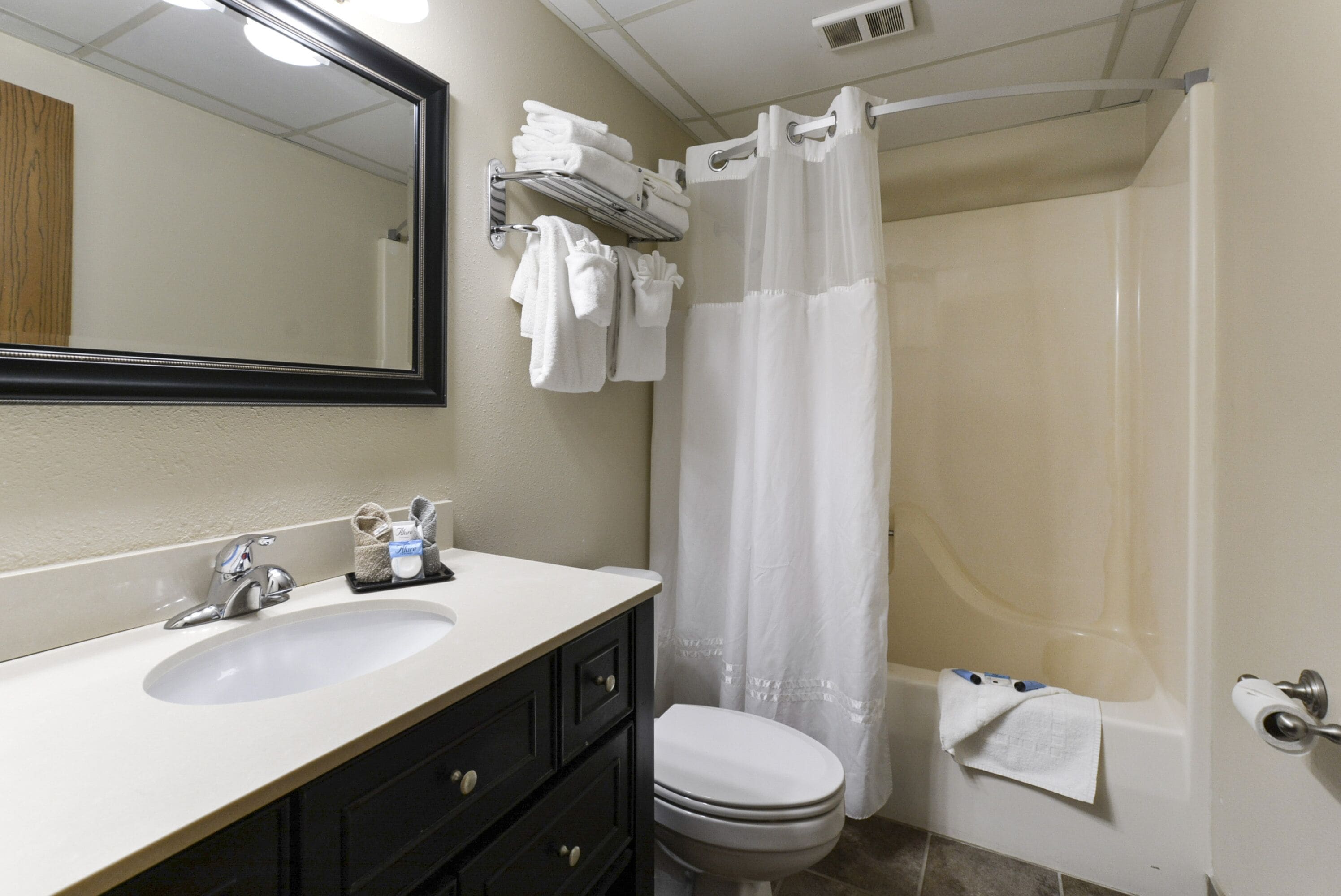 single queen room | bathroom | combined shower/bathtub, free toiletries, hair dryer, towels