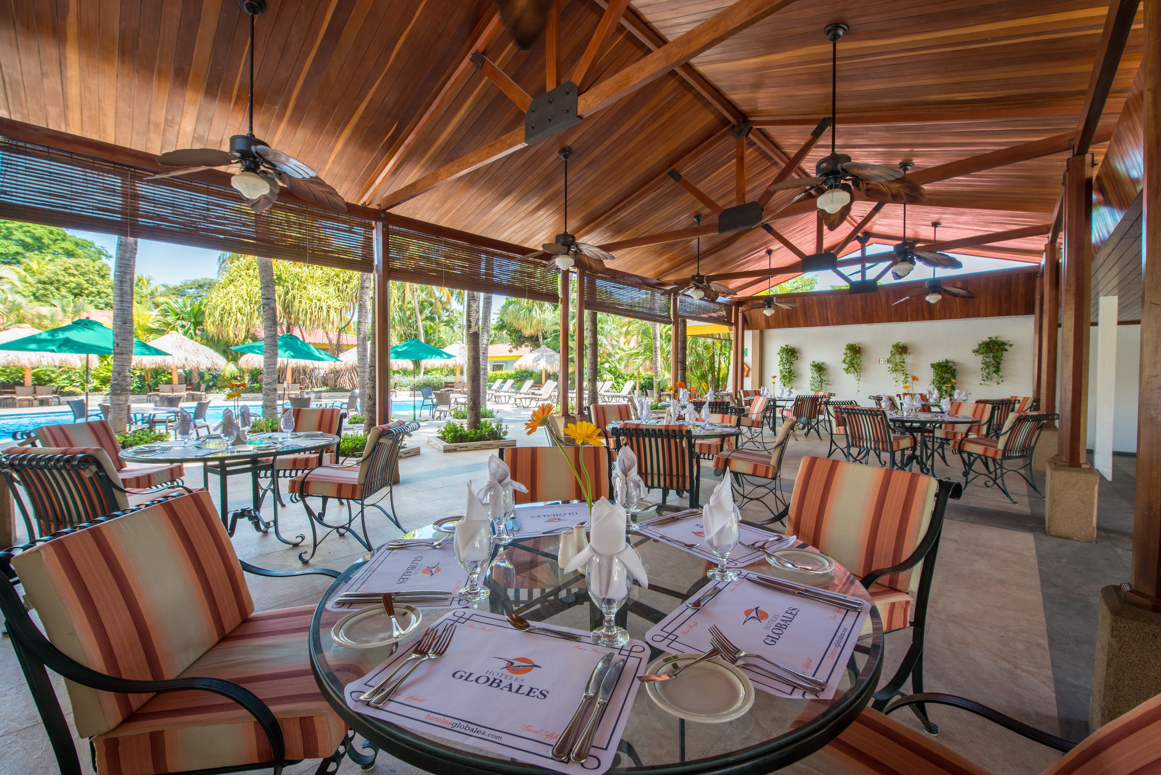 international cuisine