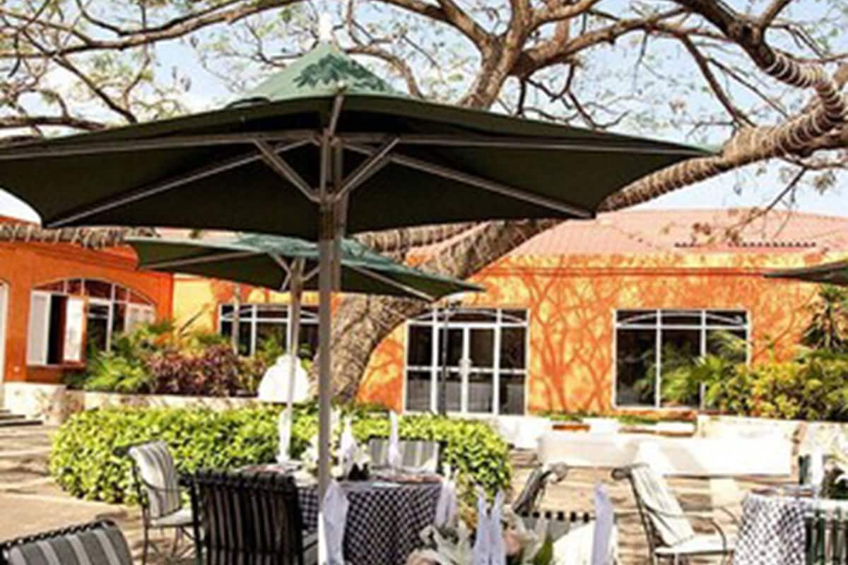 international cuisine