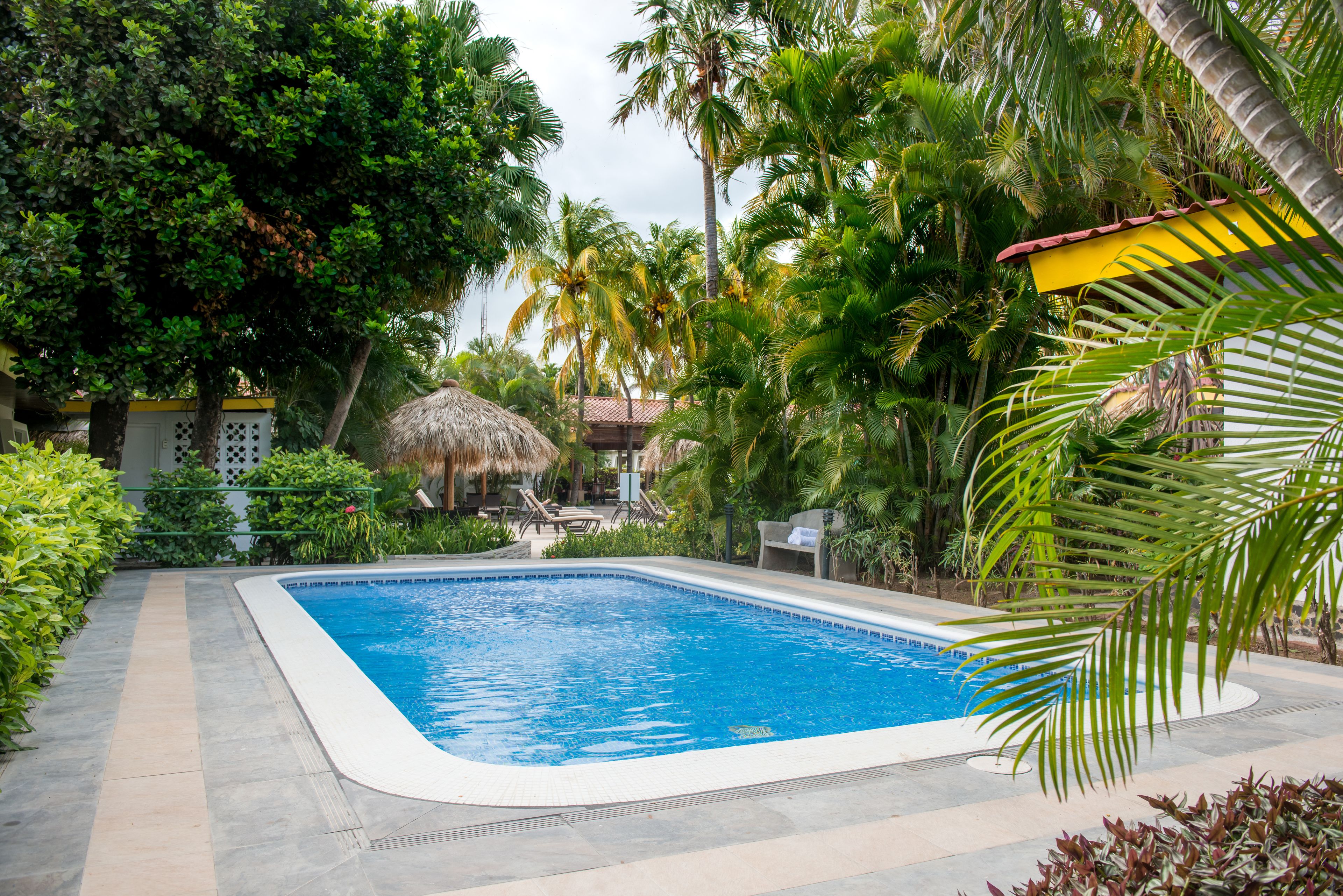 A swimming pool surrounded by lush greenery and palm trees.