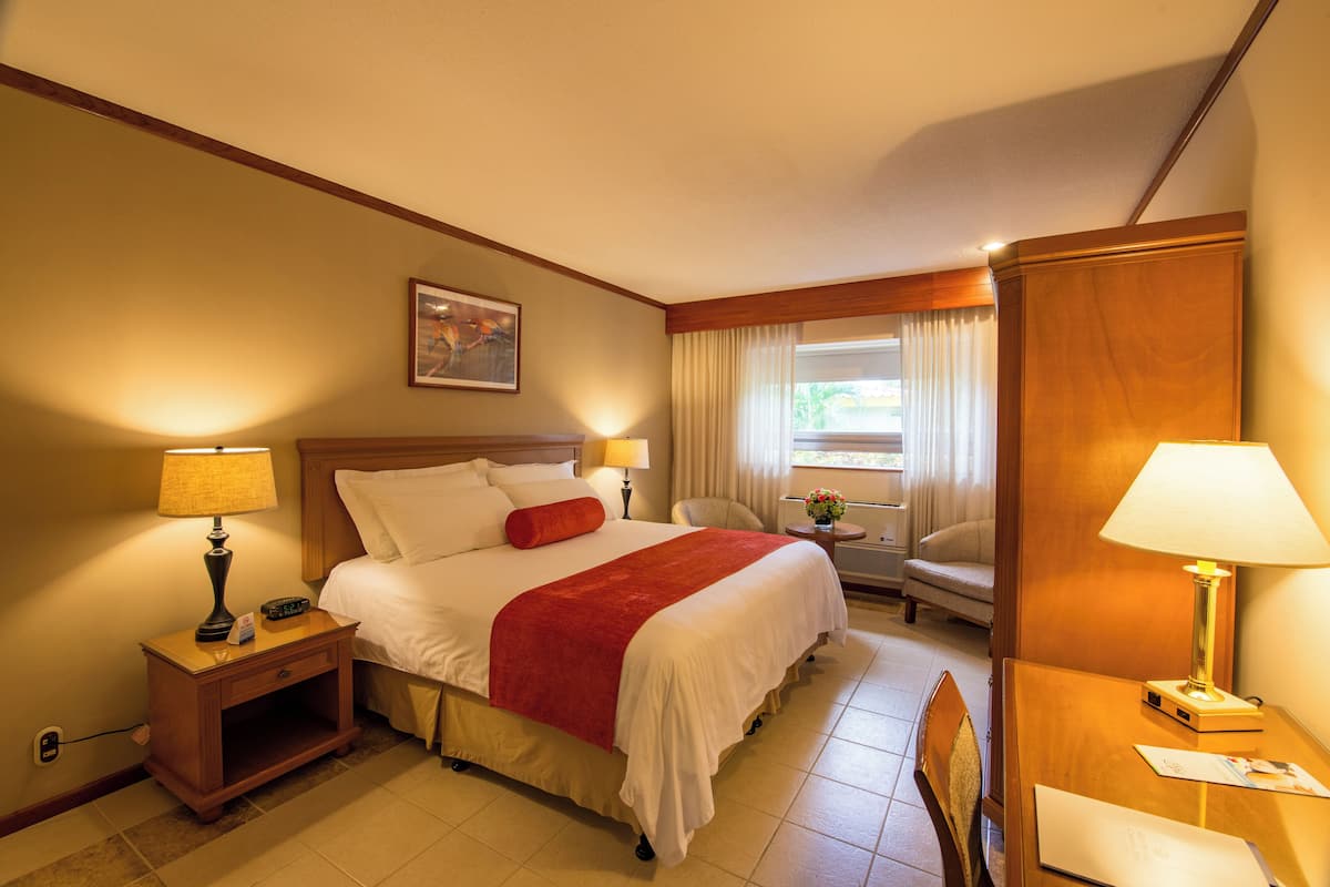 deluxe room 1 bed | 1 bedroom, egyptian cotton sheets, in-room safe, desk