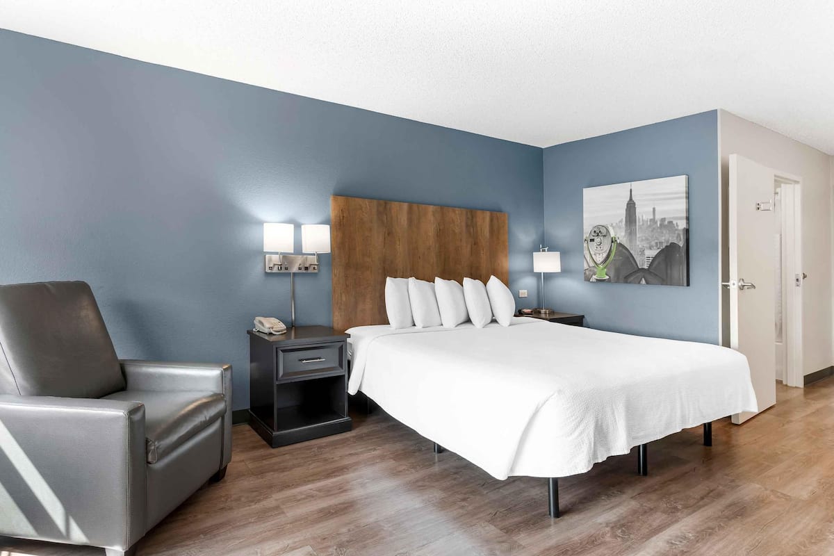 Studio, 1 King Bed, Non Smoking | Premium bedding, desk, blackout drapes, iron/ironing board