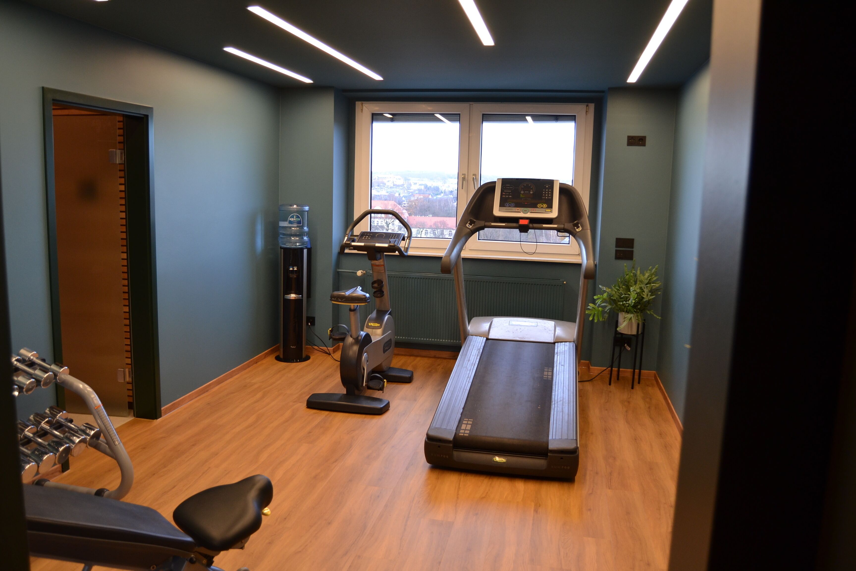 A gym with a treadmill, elliptical, and weight machines.