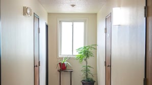 Un couloir avec un sol carrelé, une fenêtre et deux plantes en pot.