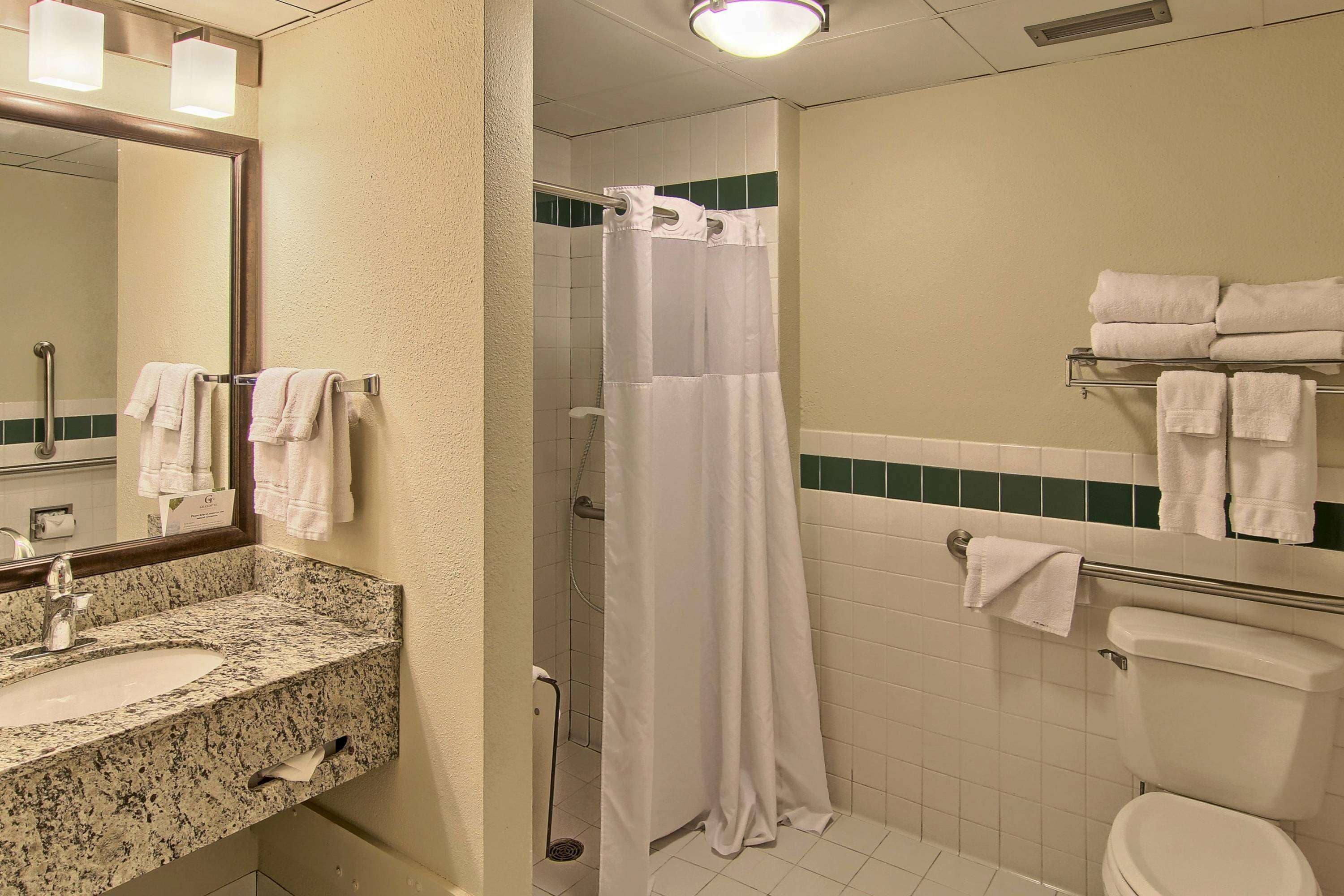 Un baño con lavabo de granito, cortina de ducha y un inodoro.