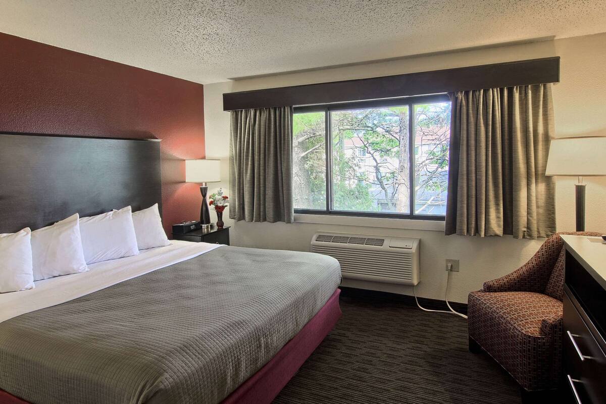A hotel room with a large bed, a chair, a desk, and a window with curtains.