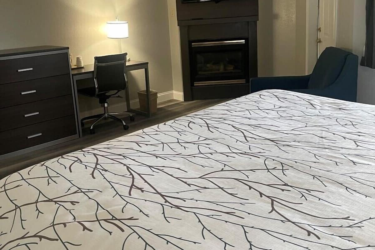 A hotel room with a bed, a desk, a chair, a TV, and a fireplace.