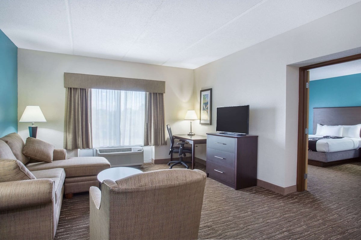 Una habitación de hotel con sofá, escritorio, televisión y cama.