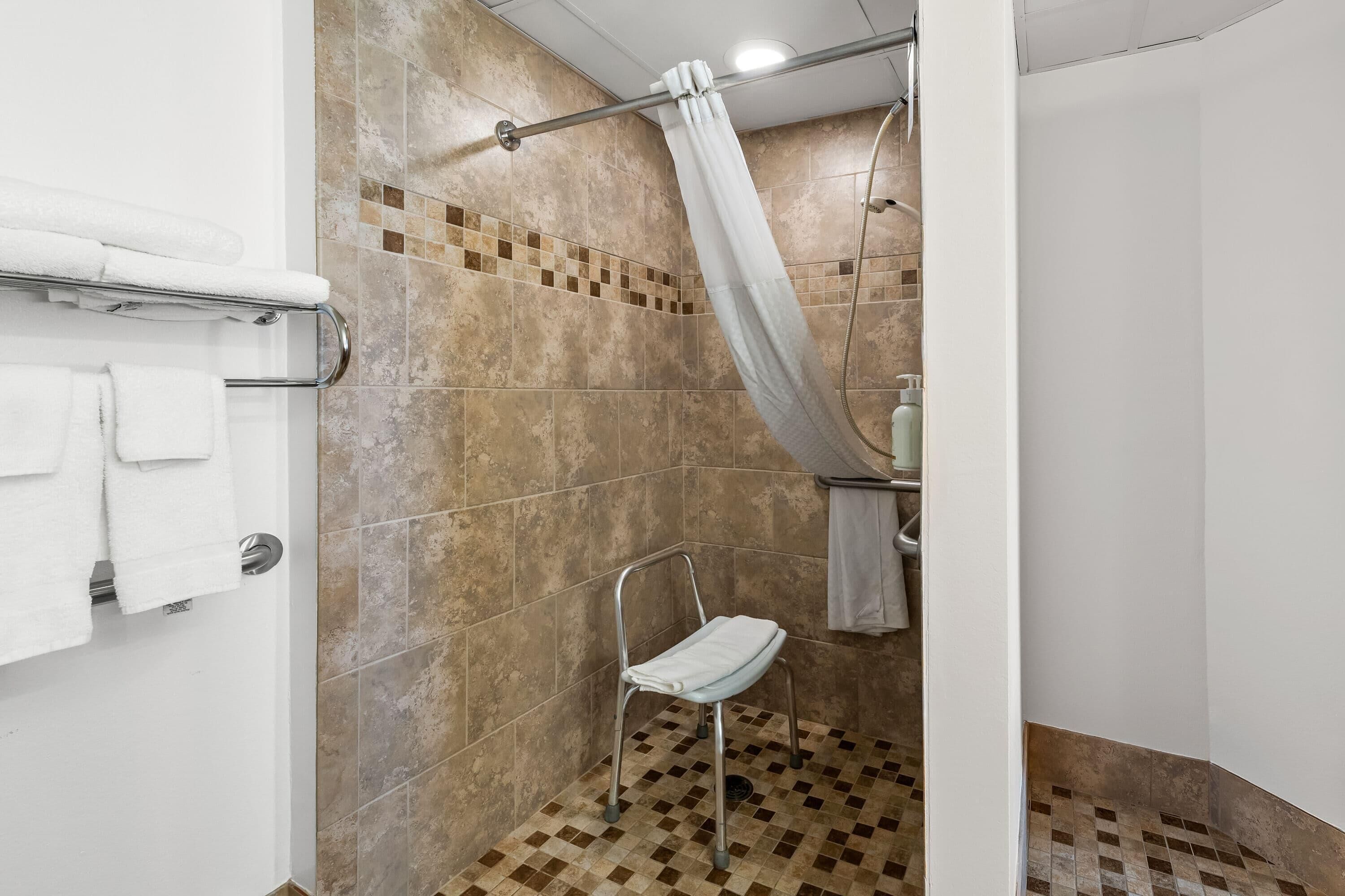 room, 1 queen bed, accessible, non smoking | accessible bathroom