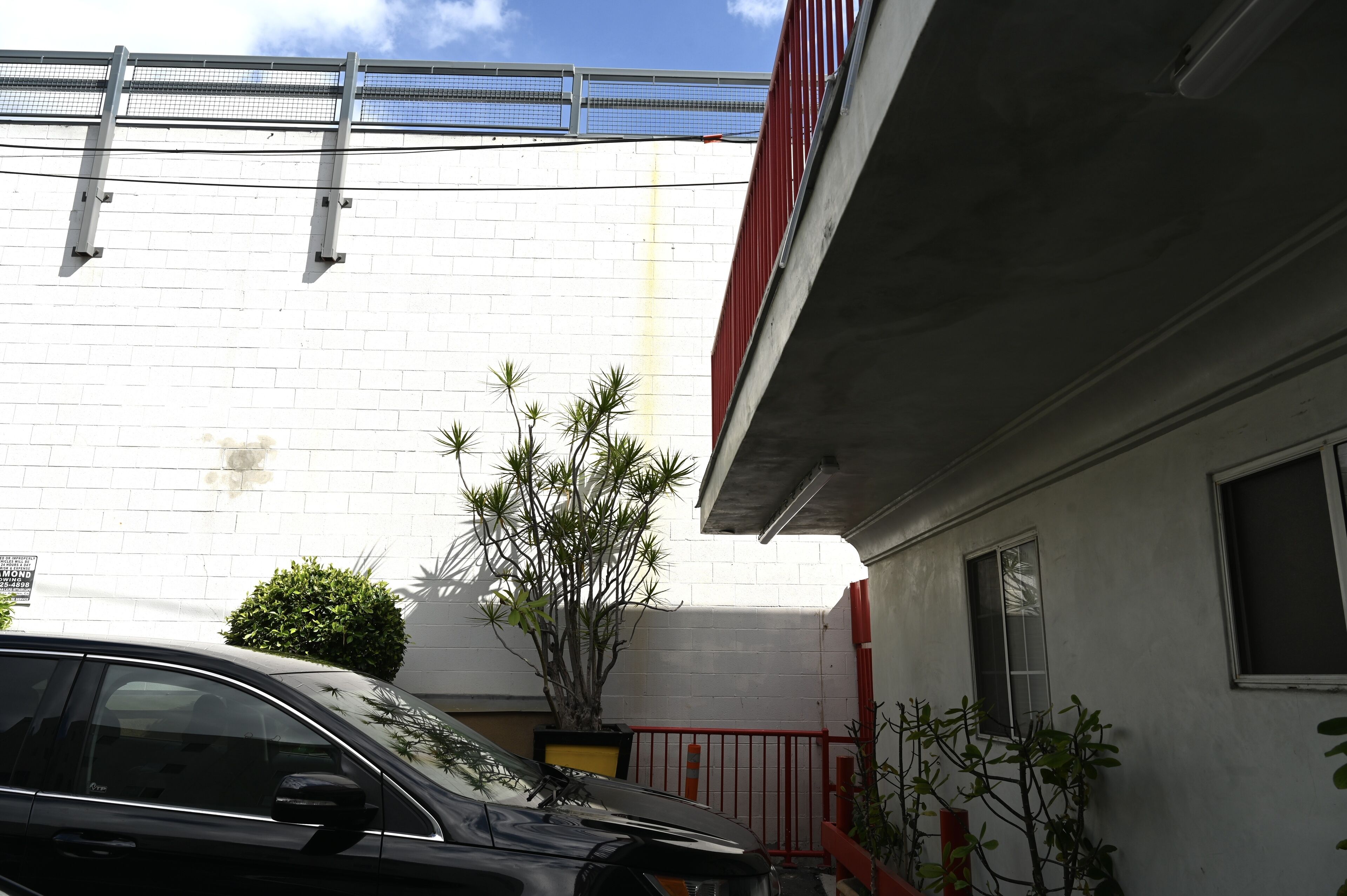 Foto - Hollywood Stars Inn