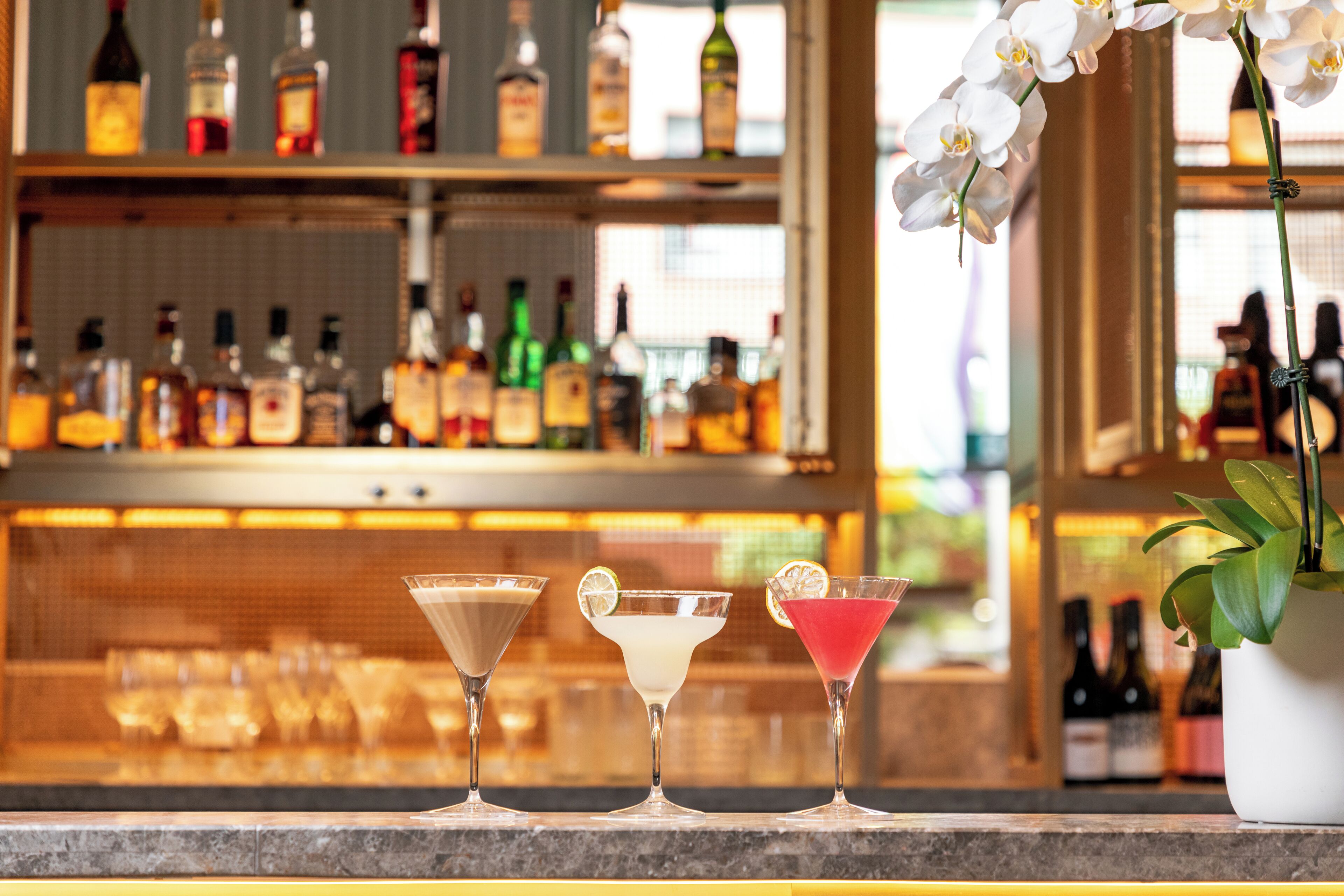 A bar area with three cocktails, a potted orchid, and a variety of bottles in the background.