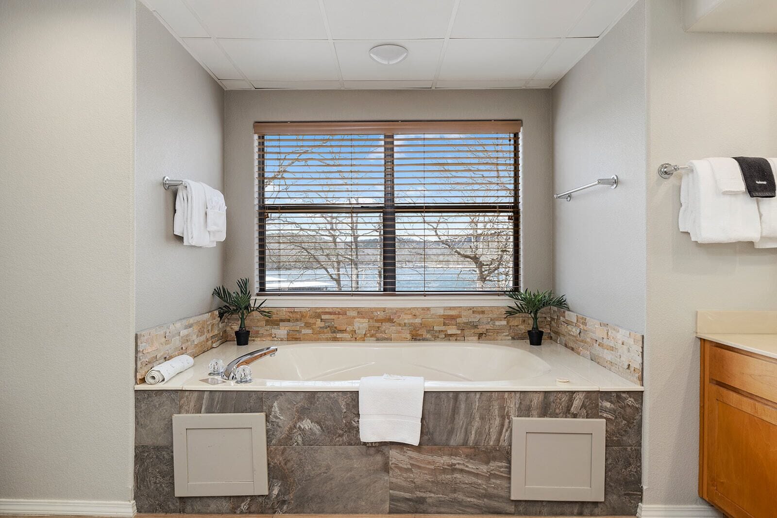 Une salle de bain avec une grande fenêtre, une baignoire et deux plantes en pot.