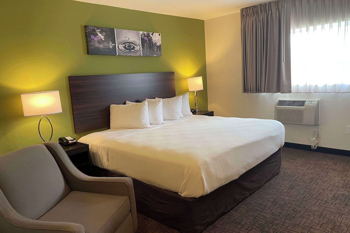 room, 1 king bed, non smoking | 1 bedroom, individually decorated, individually furnished