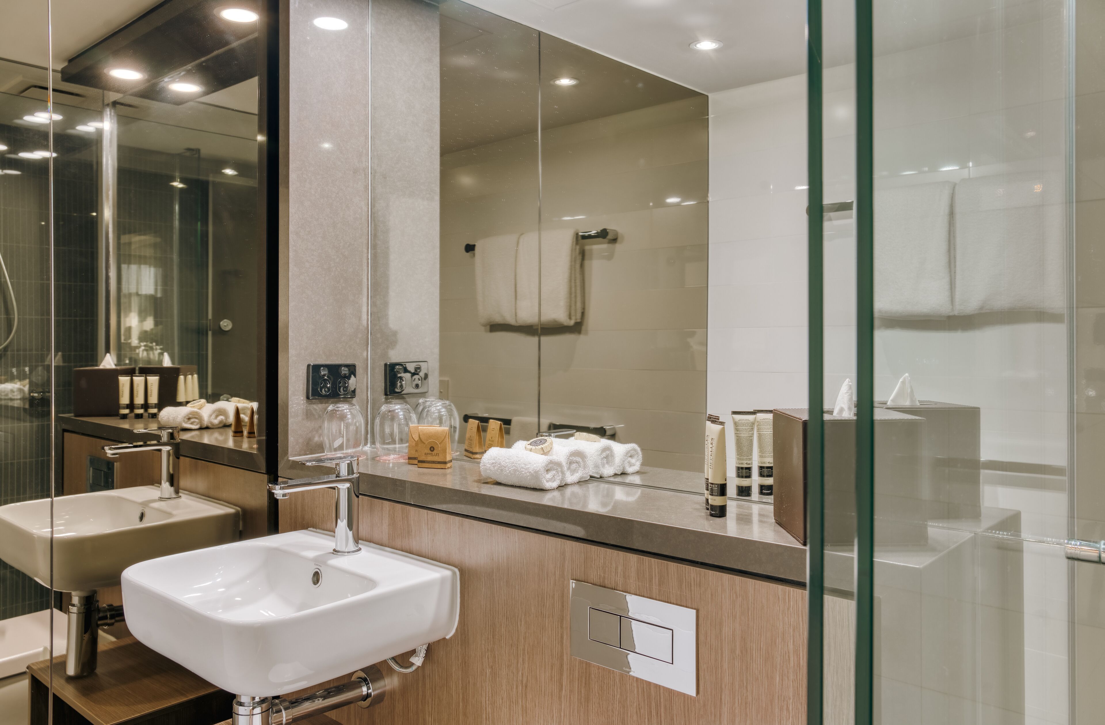 deluxe guest room | bathroom | shower, free toiletries, hair dryer, towels