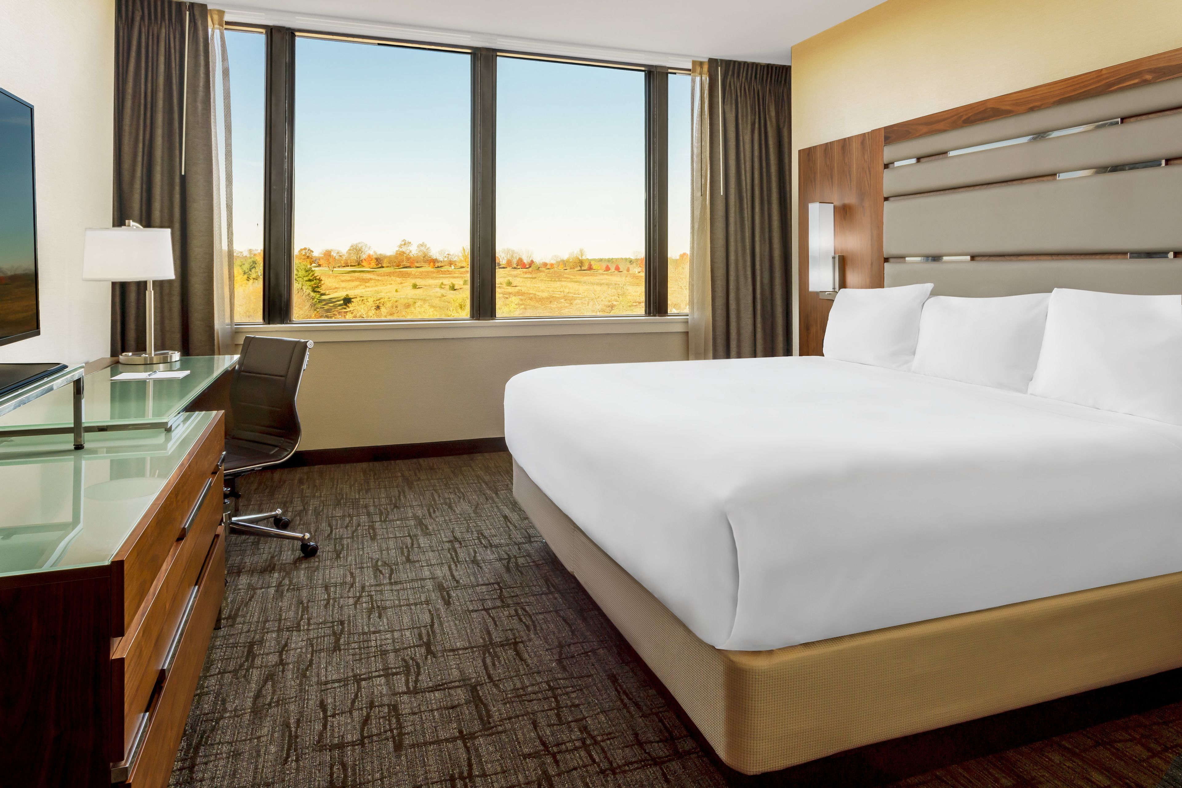 in-room safe, desk, iron/ironing board, free wifi