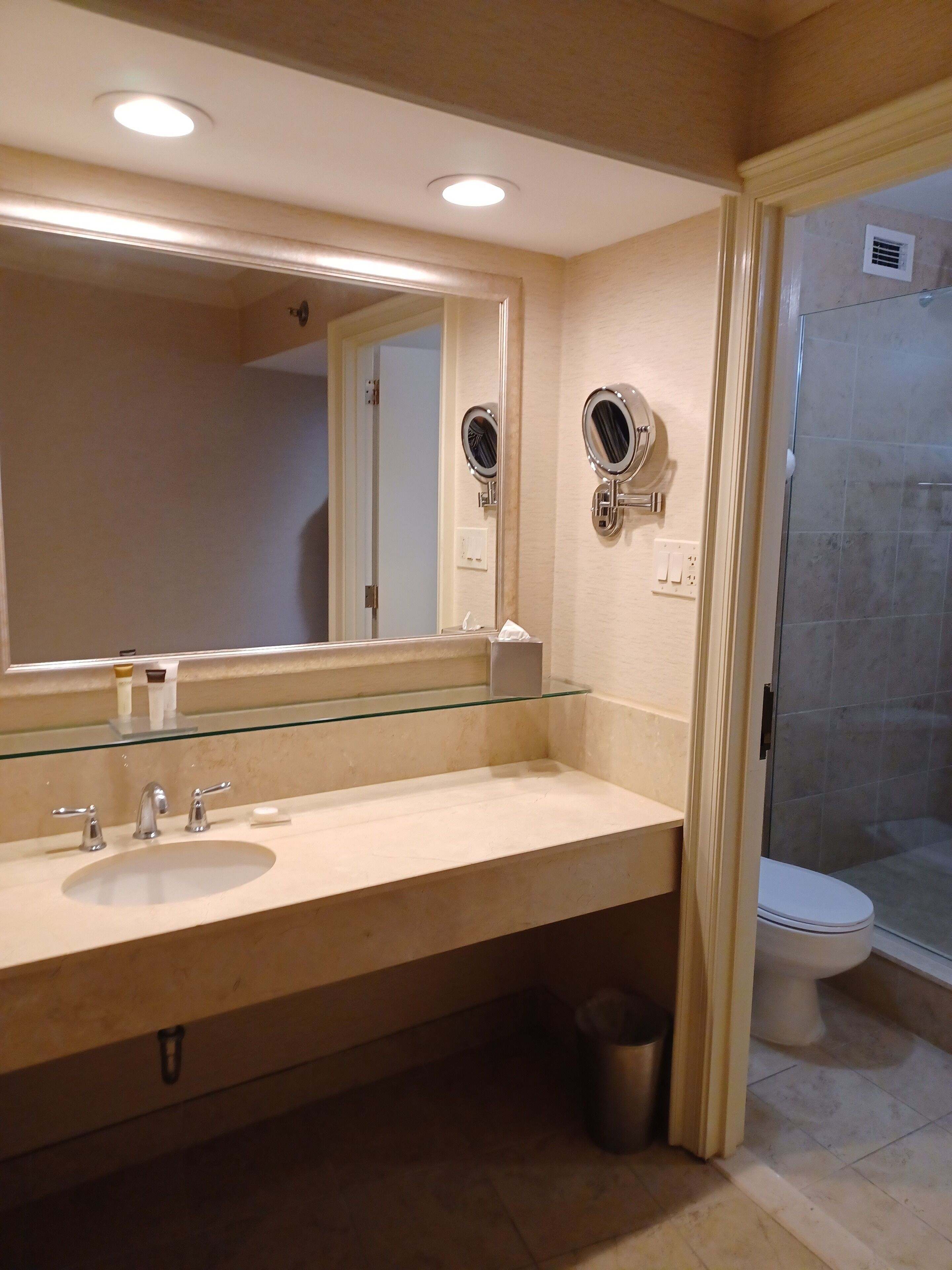 A modern bathroom with a large mirror, two sinks, a glass shower enclosure, and a toilet.