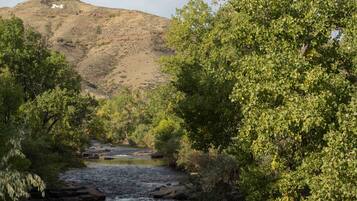Un río serpentea por un valle con vegetación densa a ambos lados y una colina al fondo.
