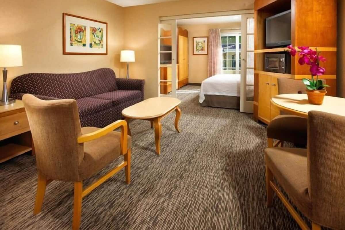 Literie hypoallergĂ©nique, coffre-fort, rideaux dâobscurcissement