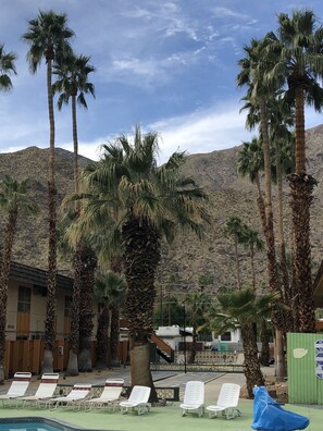 Outdoor pool, pool umbrellas, sun loungers - Desert Lodge (Palm Springs)