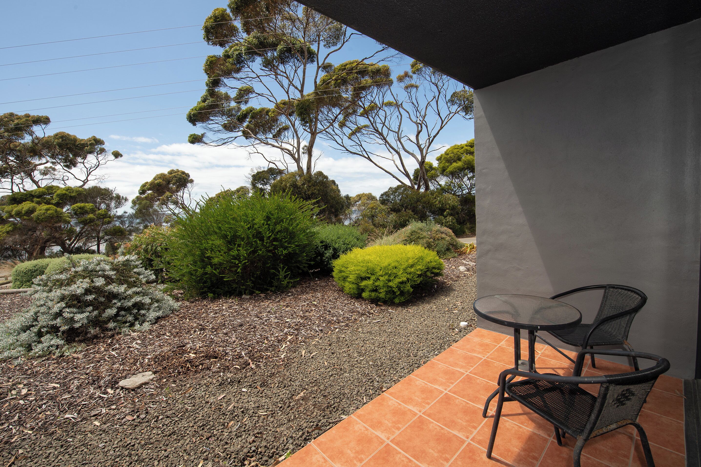 A patio area with a table and chairs, surrounded by various shrubs and trees.
