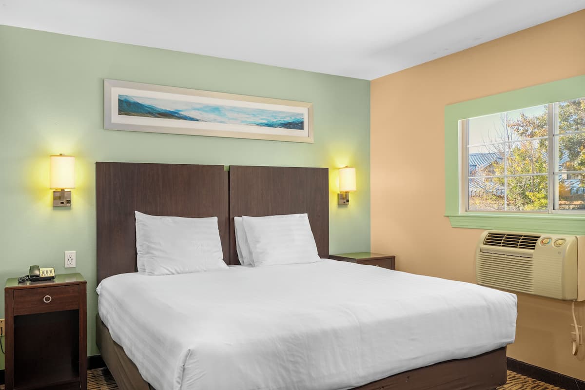 Quarto de hotel com uma cama grande, duas luminárias de cabeceira, um quadro na parede e uma janela com vista para árvores.