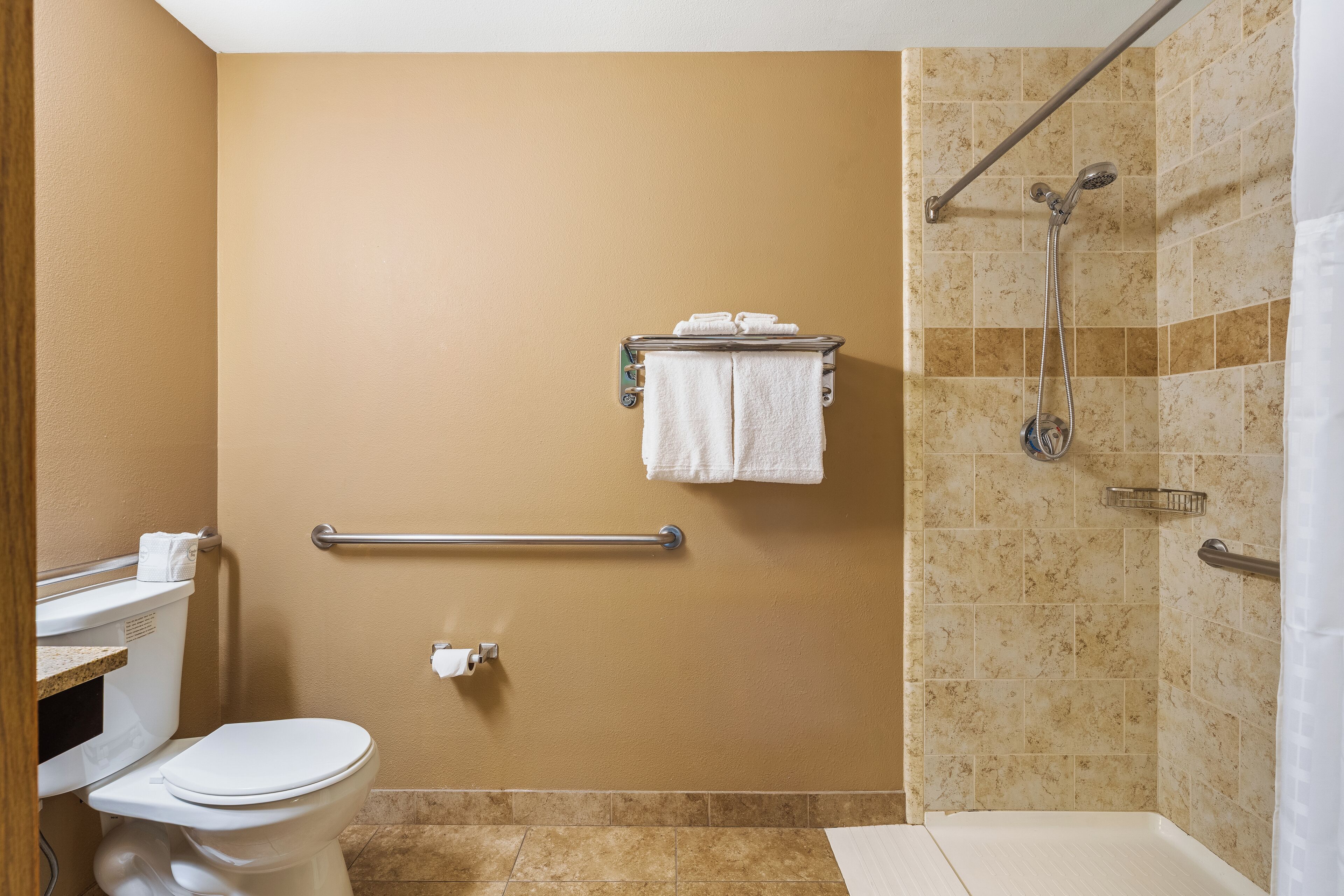Ein Badezimmer mit Toilette, einer Dusche mit Haltegriff und einem Handtuchhalter.