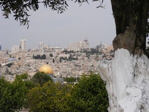 City view