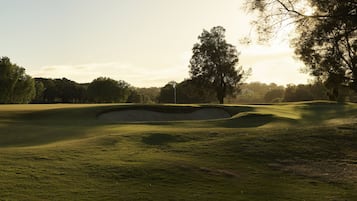 Un parcours de golf avec des bunkers et des arbres, et un bâtiment portant l’inscription « Royal Pines » en arrière-plan.