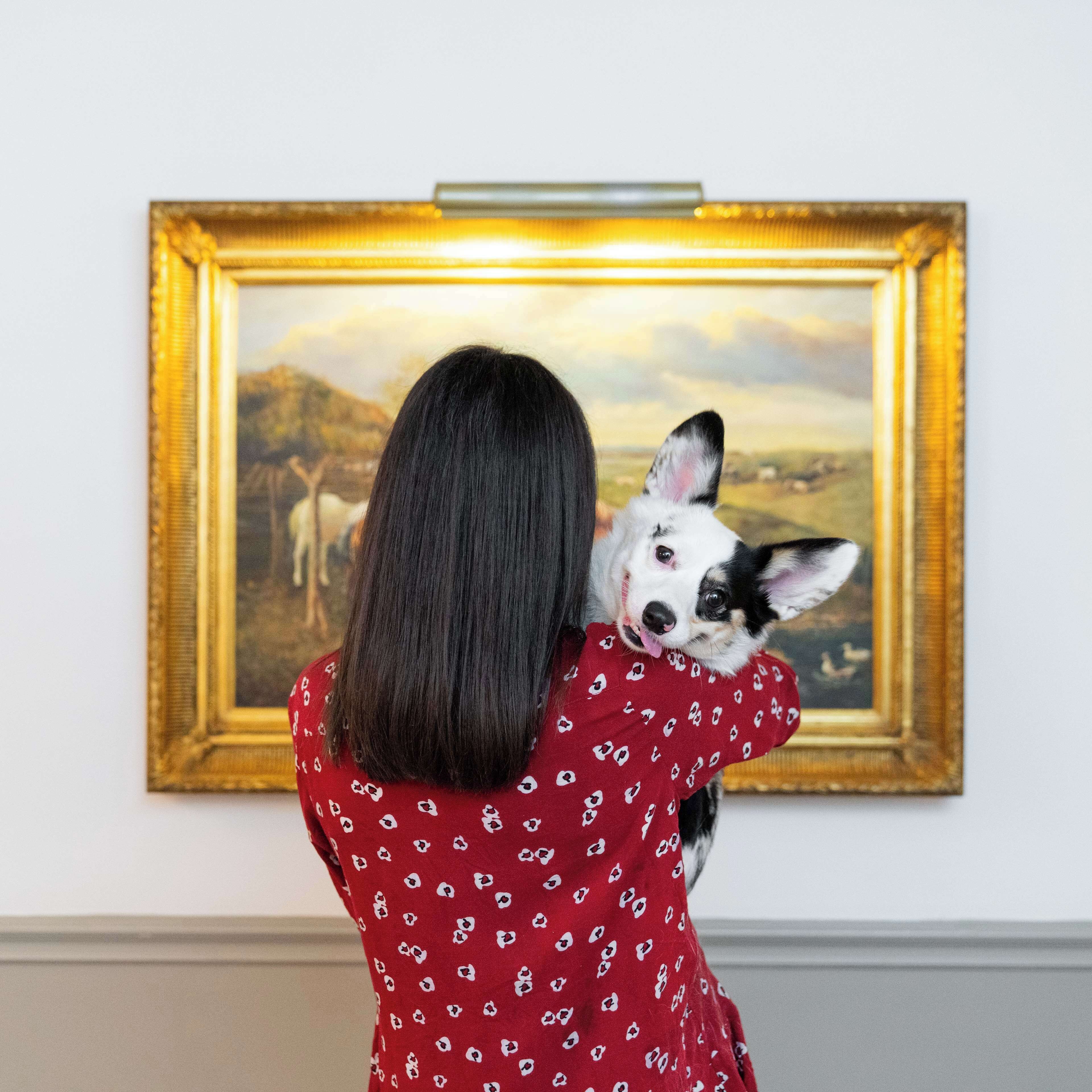 1 bedroom, hypo-allergenic bedding, pillow-top beds, minibar