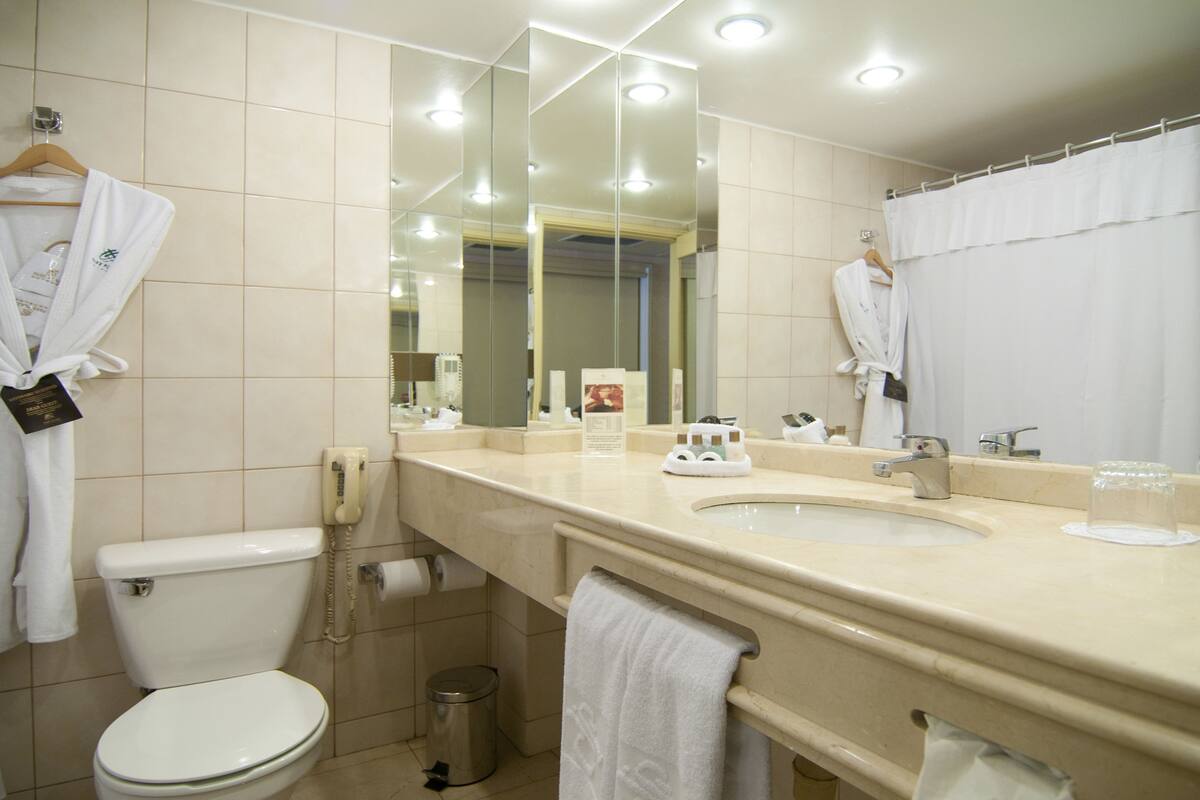Een badkamer met toilet, wastafel, spiegel en handdoekhouder.