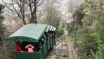 A green tram with passengers on a track surrounded by trees and a cityscape in the background.
