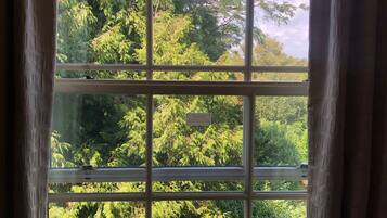 Una ventana con vistas a un follaje verde frondoso y un cielo despejado.