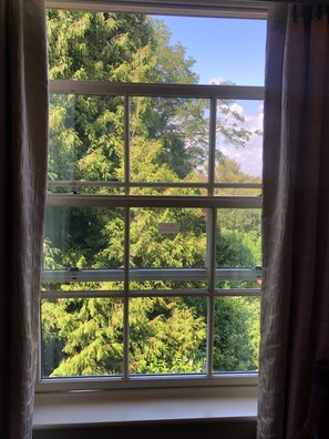 Vistas desde la habitación