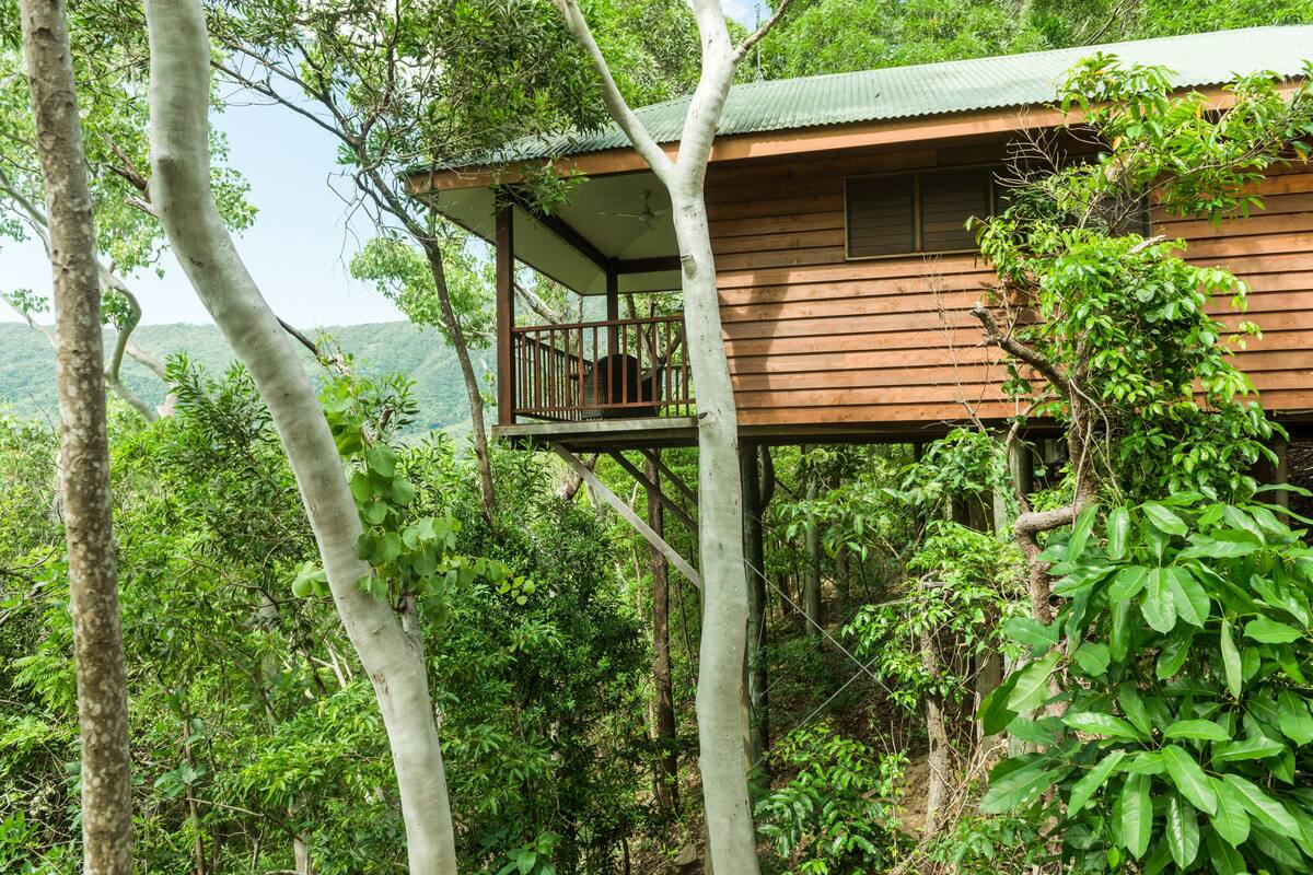 A wooden cabin with a balcony, surrounded by dense forest.