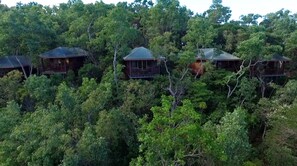 A cluster of cabins surrounded by dense forest. - Thala Beach Nature Reserve (Oak Beach)